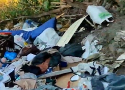 Липецкий Департамент благоустройства обязали убрать мусорку в районе ЛТЗ 