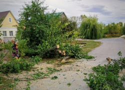 В Липецке городские службы ликвидируют последствия урагана 