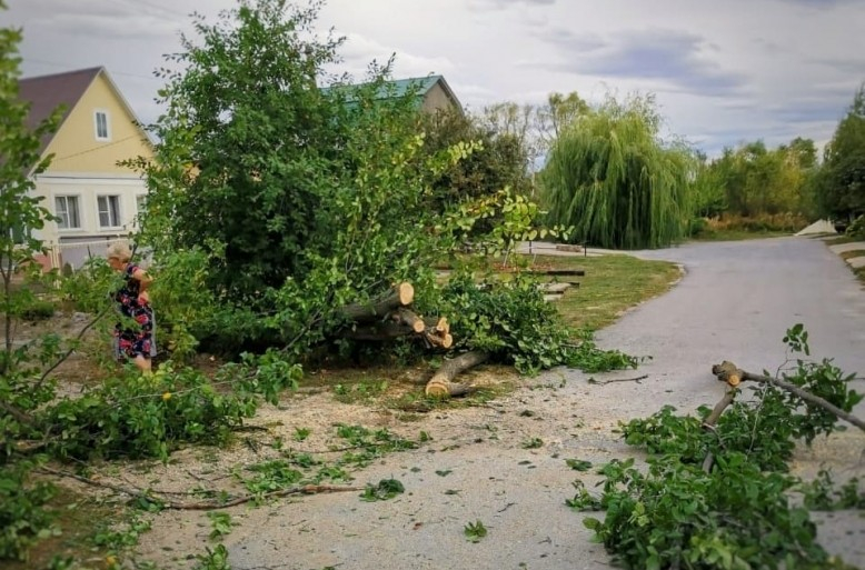 В Липецке городские службы ликвидируют последствия урагана